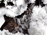 Der Mühlenbach verwandelt sich in eine Gletscherlandschaft  In der Nacht vom 6. auf den 7. Februar 2015 war es klirrend kalt. Der Mühlenbach im Bad Harzburger Stadtteil Schlewecke verwandelte sich in eine Gletscherlandschaft.